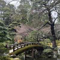 A Regal Walk Through Time – My Visit to Kyoto Imperial Palace