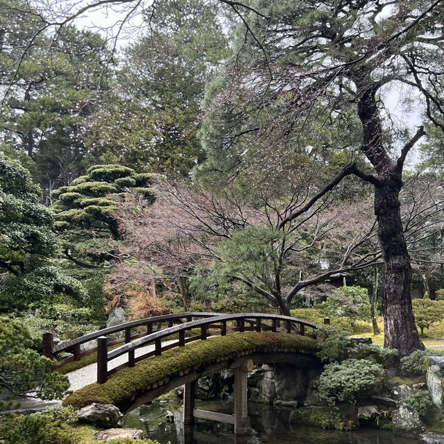 A Regal Walk Through Time – My Visit to Kyoto Imperial Palace