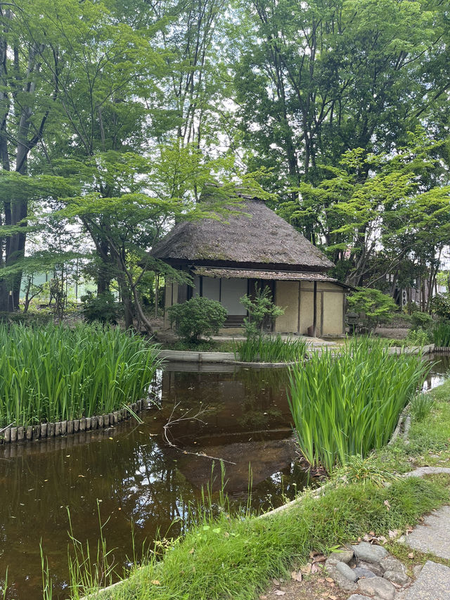 【岡山】藁葺き屋根の中で食べるランチ