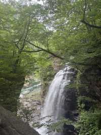 【日光で大自然を満喫する】龍王峡🐲虹見滝🌈虹見橋🌉