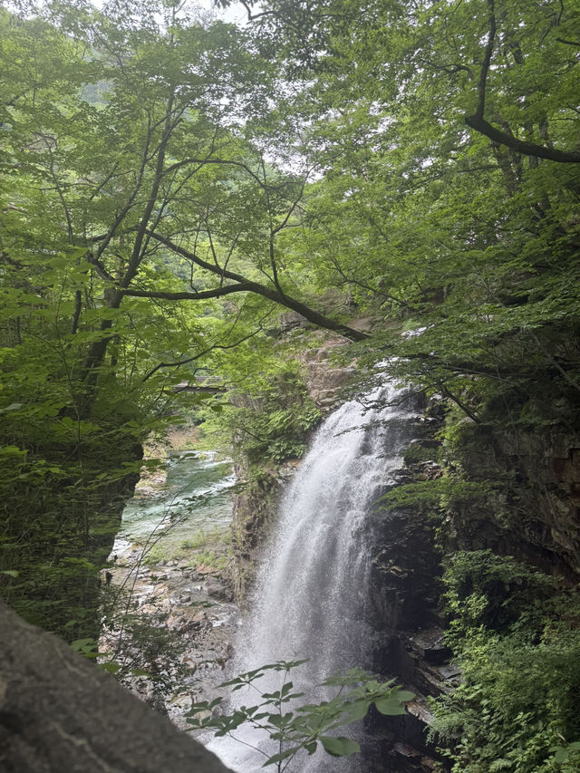 【日光で大自然を満喫する】龍王峡🐲虹見滝🌈虹見橋🌉