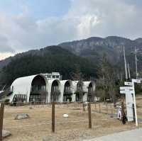 ️  ❄겨울 울릉도: 설경 속 신비로움, 새로운 매력을 만나다! ✨