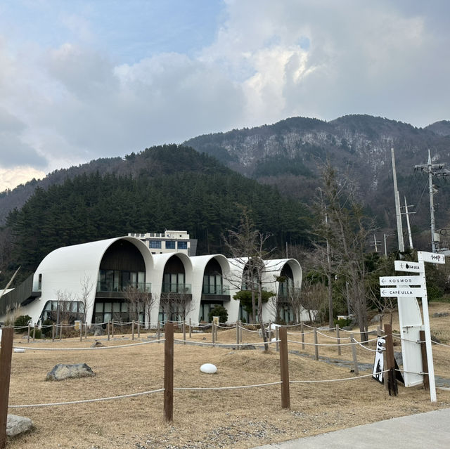 ️  ❄겨울 울릉도: 설경 속 신비로움, 새로운 매력을 만나다! ✨