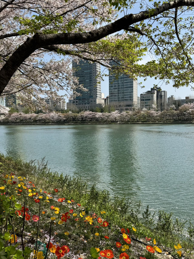 ชมวิวพ็อตกตที่มุมทะเลสาบ seokchon lake😍