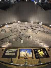 【福井県立恐竜博物館で太古の世界へ】子どもも大人も夢中になる恐竜旅🦖🌍