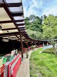 峰市集、原住民族館及民都有山步道走走