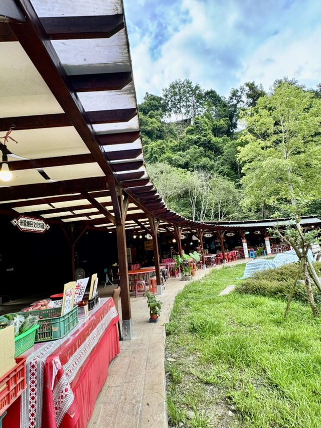 峰市集、原住民族館及民都有山步道走走