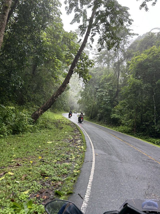 เที่ยววันเดย์ทริปที่อุทยานแห่งชาติเขาใหญ่2025
