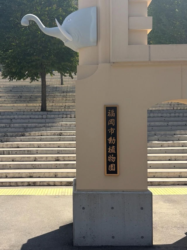 【緑と命にふれる旅🌿】福岡市動植物園でのんびり癒し時間