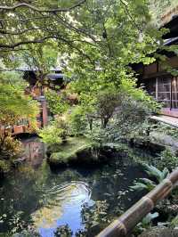 【東京】この夏に行きたい奥多摩にある人気カフェ☕🌿