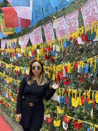 Discover the Colorful Charm of Butterfly Park – A Hidden Gem in Yunnan