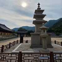 History, Nature & Zen Vibes at Pyochungsa Temple