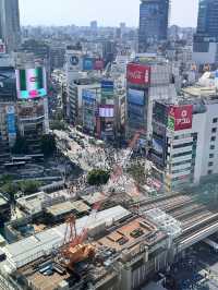 東京這三個地方，藏著讓你不想離開的秘密…