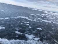 北海道-網走破冰船（需提前預約）