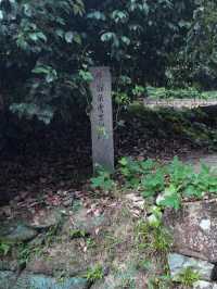 【信長の夢が眠る城跡🏯】安土城跡で戦国ロマンに浸る旅🔥