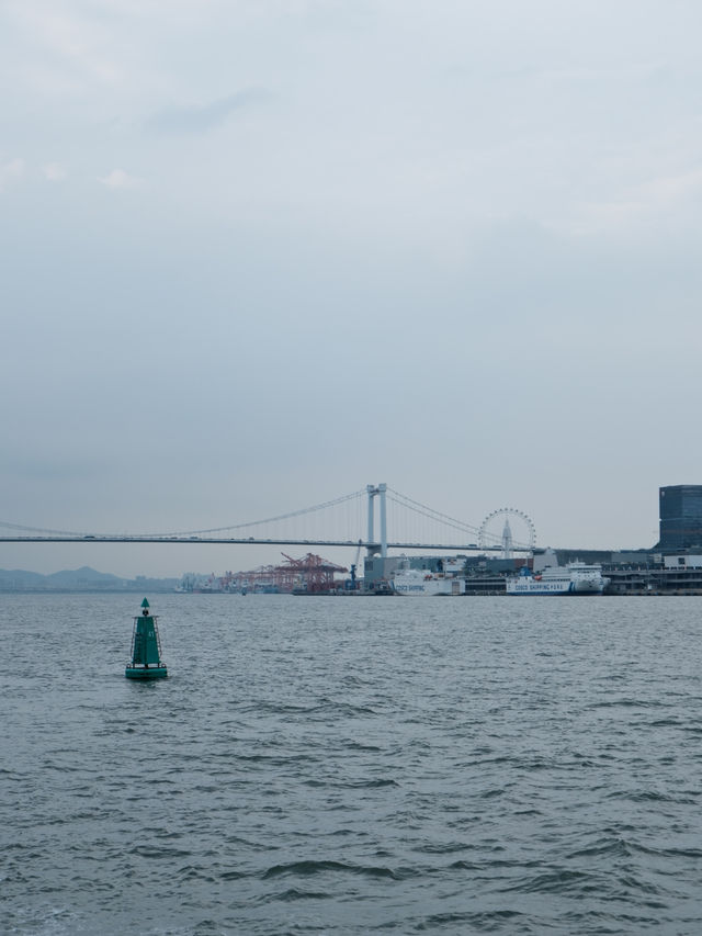 Between Islands and Incense — A Journey Through Xiamen & Quanzhou 🏝️🕯️