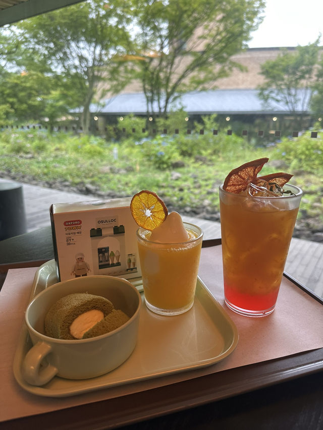제주 여행 필수 코스! 오설록 티뮤지엄 🍵💚