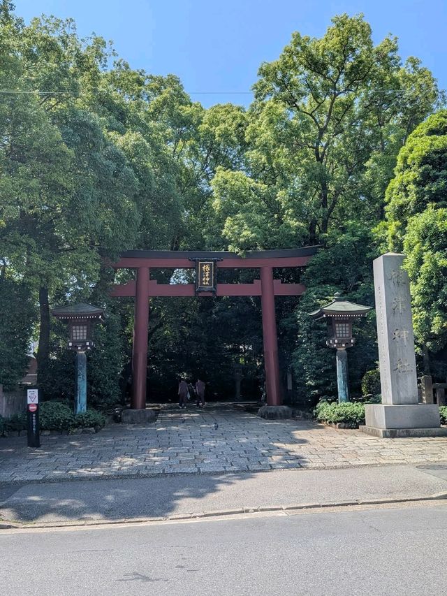 Nezu Shrine (Bunkyo)