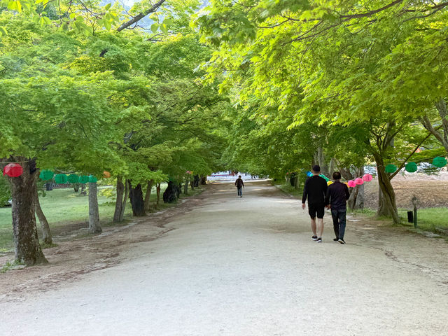 부안 당일치기 여행지로 딱인 내소사 🌳