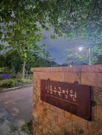 🌌 신동 수국정원과 카페거리, 조용히 피어나는 밤의 산책