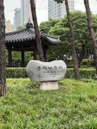 잠실 가면 빠질 수 없는 코스