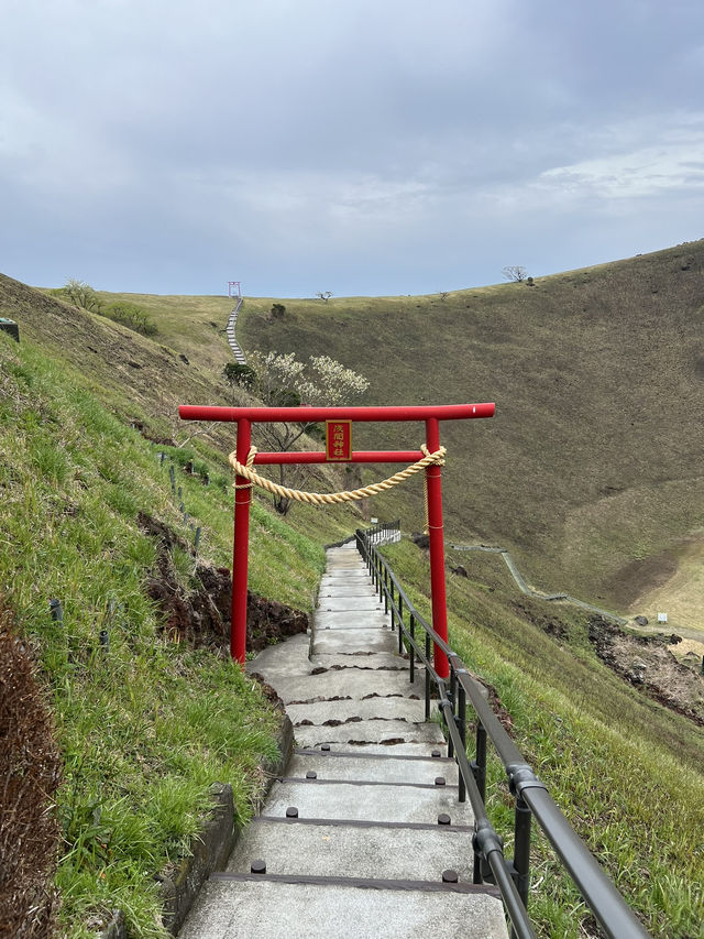 *壯觀*、*全景*、*神聖*、*夢幻*。🌿  你最想親身感受哪一種感覺？