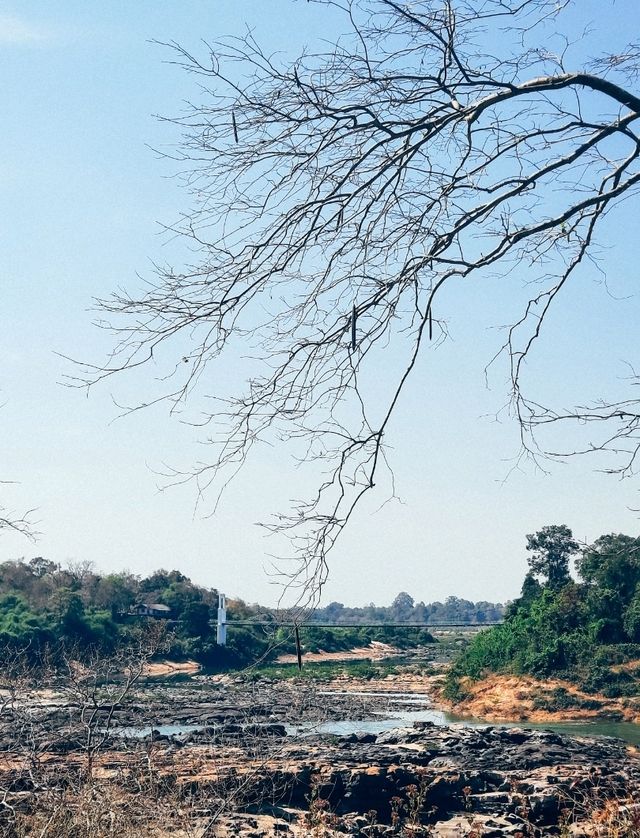 รีวิว: เที่ยวอุทยานแห่งชาติแก่งตะนะ (ปลายฤดูหนาว)