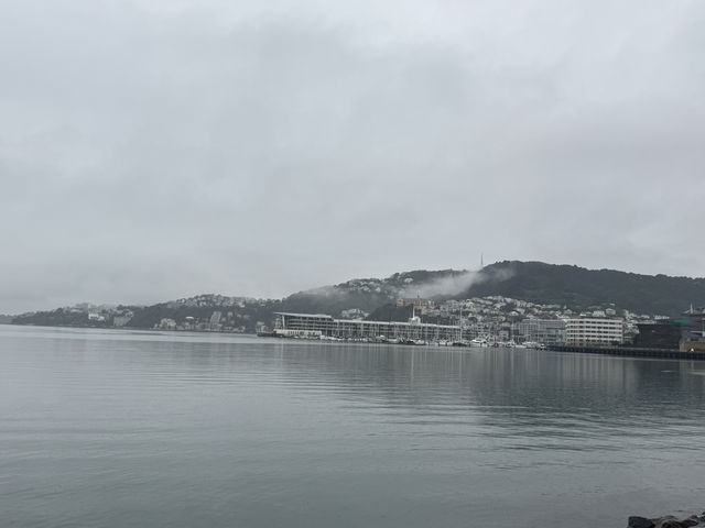 Wellington Capital with a catch 