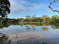 Wild Times at Yala National Park