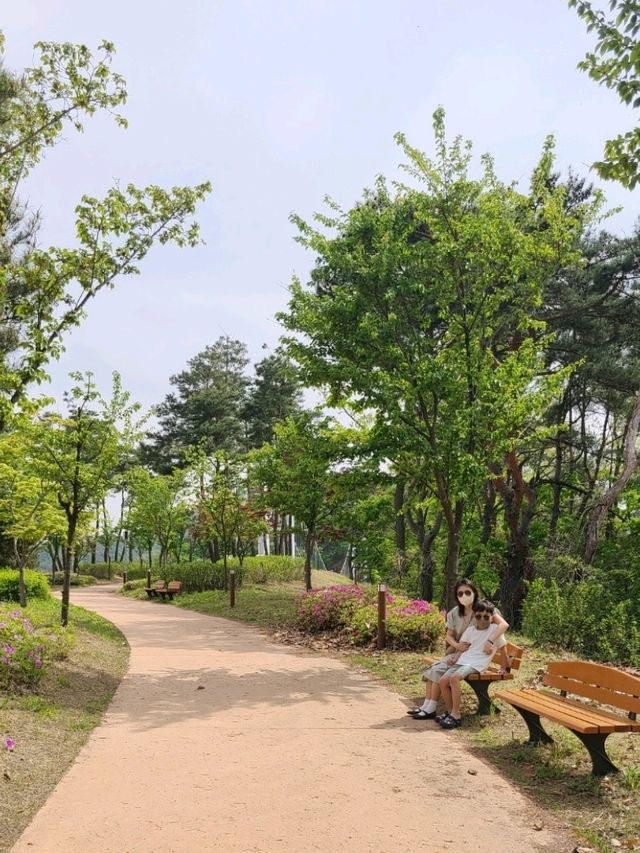 영주호를 가로질러볼수있는 💙용마루공원