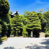 Conquering the Sacred Summit: A Solo Summer Hike Up Mount Jinmu-ji, Kanazawa