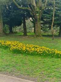 Sophia Gardens