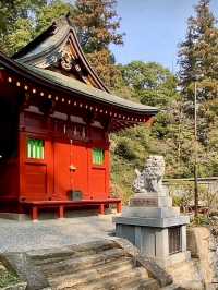 เยือนศาลเจ้านุกิซากิ อิจิโนะมิยะ