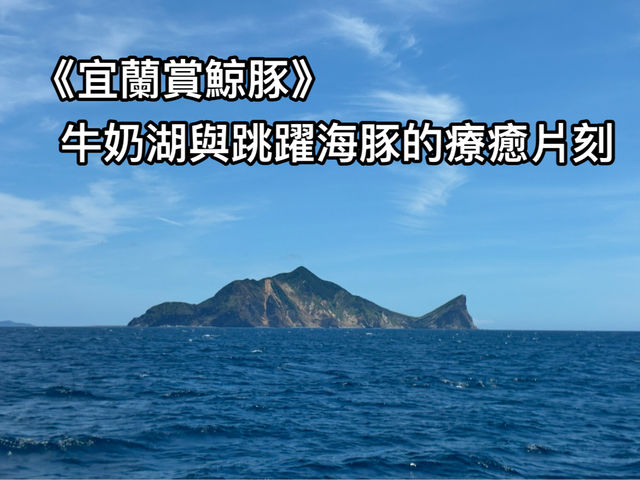 《《宜蘭賞鯨豚》牛奶湖與跳躍海豚的療癒片刻》