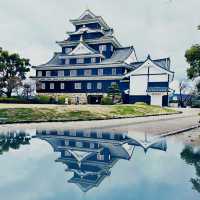 Okayama Castle: A Summer Visit to Japan's Glossy Black 'Crow Castle