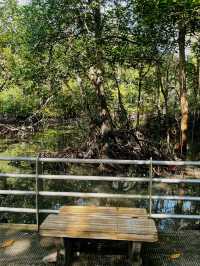 City Mangrove Park – A Perfect Summer Escape into Nature