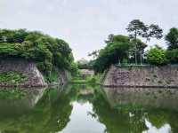 Echoes of the Past at Nagoya Castle