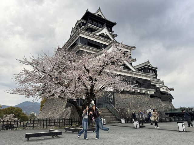 구마모토 여행 일정 🇯🇵