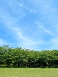 🌿 후쿠오카 최대 규모 자연공원 – 우미노나카미치 해변공원