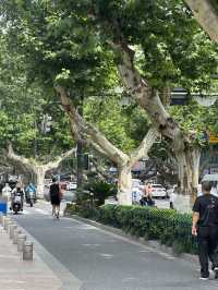 Nanjing 2 Days Travel Guide 