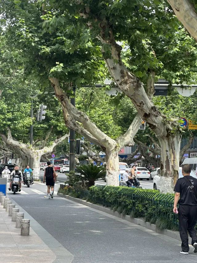 南京兩日遊指南