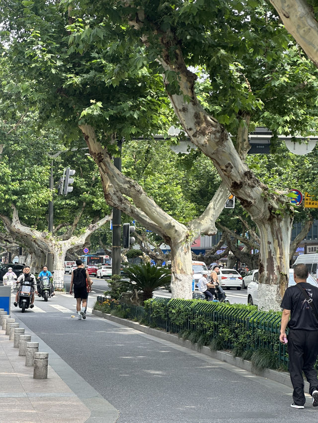 Nanjing 2 Days Travel Guide 