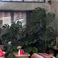 🏡 คาเฟ่ไม้กลางสวน กับวิถีสโลว์ไลฟ์ที่แท้ทรู