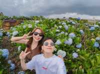 เที่ยวสสนไฮเดรนเยีย ดาลัด ประเทศเวียดนาม