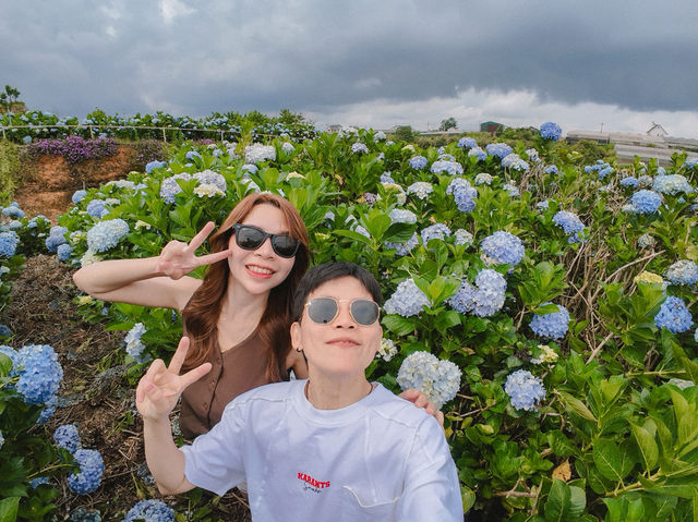 เที่ยวสสนไฮเดรนเยีย ดาลัด ประเทศเวียดนาม