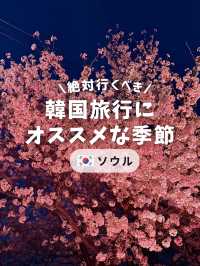 🌸春だけの絶景！桜とカフェで楽しむソウル旅🌸 