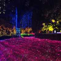 A Night Under The Stars at Luna Wonderland