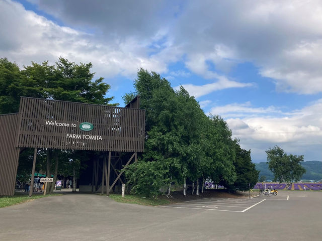 送上最新 #富田農場🇯🇵 薰衣草花況 🪻