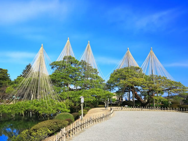 Solo Traveler's Perfect Day at Kenrokuen Garden** 🌸🏯