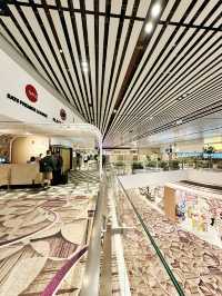 Where Tranquility Takes Flight: BLOSSOM Lounge at Changi T4